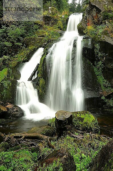 Triberger Wasserfall im Schwarzwald