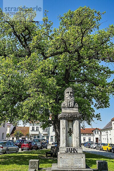 Friedrich Ludwig Jahn Denkmal  Salzmarkt  Mittenwalde  Brandenburg  Deutschland  Europa