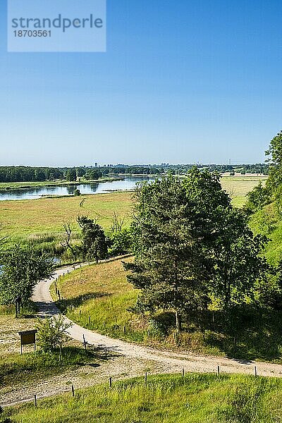 Odertal bei Frankfurt Oder  Brandenburg  Deutschland  Europa