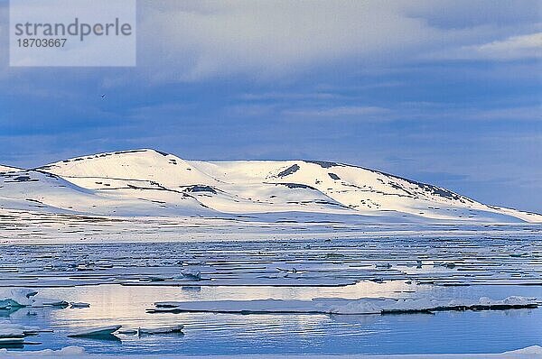 Blick auf die felsige Küste von Svalbard mit Eis und Schnee am Meer  Svalbard  Norwegen  Europa