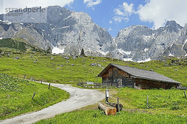 Almhütte mit Hochkönig  Riedingtal  Mühlbach am Hochkönig  Pongau  Salzburg  Österreich  Europa