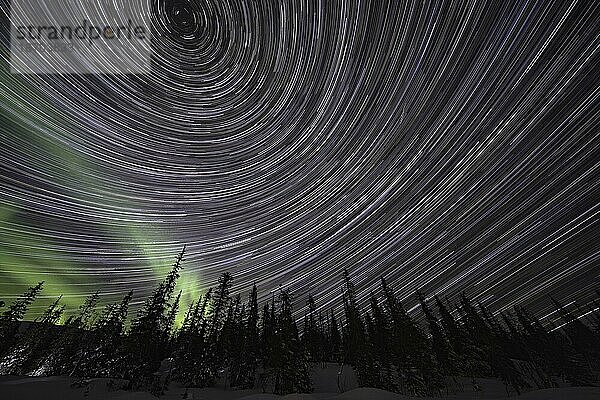 Sternenbahnen (Star trails) mit Nordlicht über dem Pallas Yllästunturi Nationalapark  Lappland  Finnland  Europa