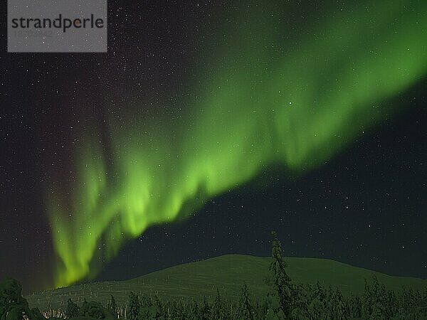 Nordlicht über dem Pallas-Yllästunturi Nationalparl  Lappland  Finnland  Europa