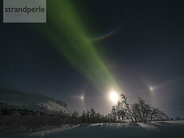 Nordlicht mit Mond-Halo  Moon-dogs  dem großen Wagen und Polarstern neben dem Saana  einem heiligen Berg der Samen