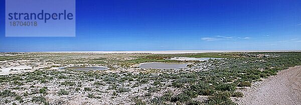 Panorama Landschaft an der Etosha-Pfanne  Namibia  landscape at Etosha pan  Namibia  Afrika