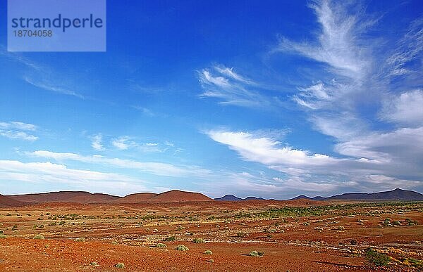 Weite Namibias  Landschaft Palmwag  landscape of Namibia  Palmwag concession