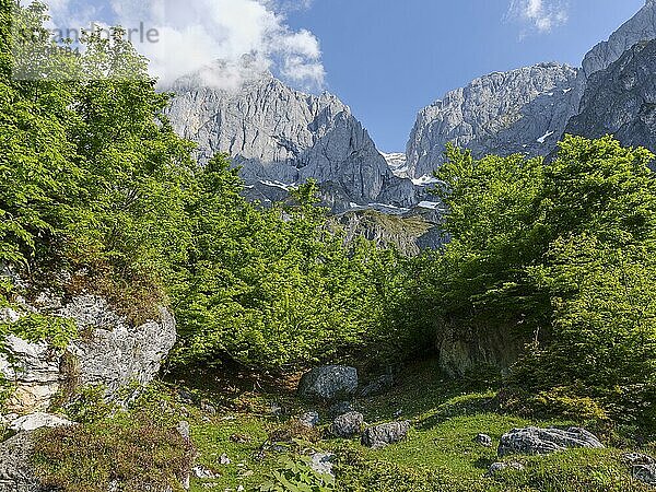 Riedingtal mit Hochkönig  Mühlbach am Hochkönig  Pongau  Salzburg  Österreich  Europa