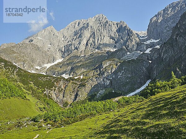 Riedingtal mit Hochkönig  Riedingalm  Mühlbach am Hochkönig  Pongau  Salzburg  Österreich  Europa