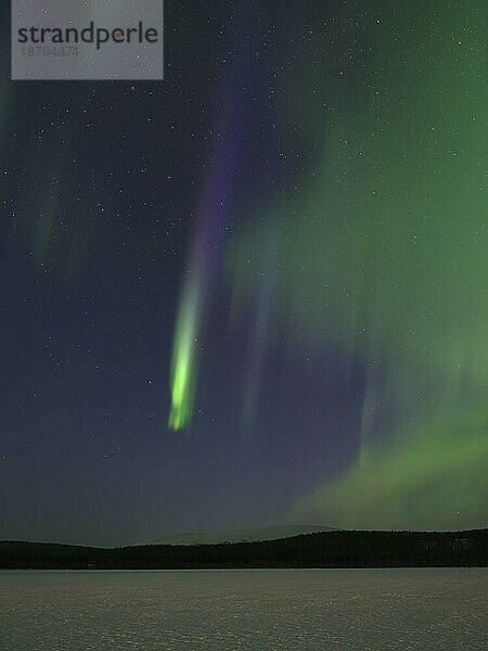Nordlicht (aurora borealis) mit extrem seltenen Blau  Äkäslompolo  Lappland  Finnland  Europa