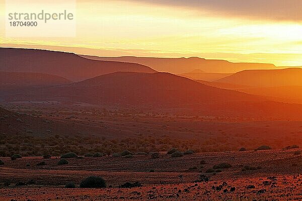 Sonnenaufgang in der Weite Namibias  Landschaft Palmwag  sunrise in the landscape of Namibia  Palmwag concession