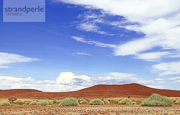 Weite Namibias  Landschaft Palmwag  landscape of Namibia  Palmwag concession