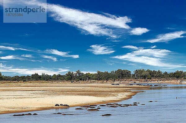 Landscape at the Luangwa River  Zambia