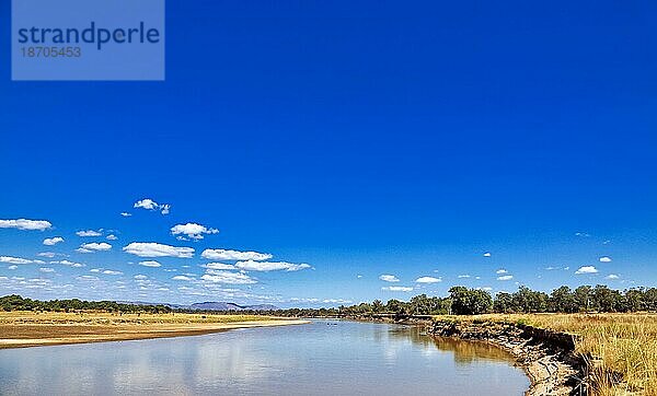 Landscape at the Luangwa River  Zambia