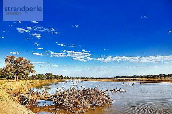 landscape at the Luangwa River  Zambia