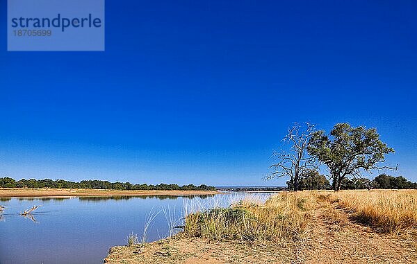 Landscape at the Luangwa River  Zambia