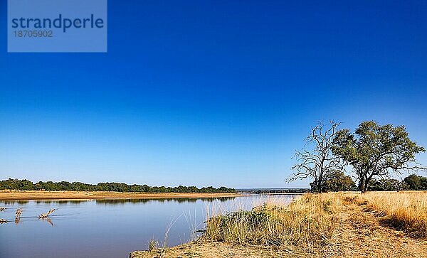 landscape at the Luangwa River  Zambia