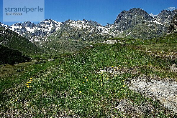 Alpenpanorama im Montafon  Silvretta mit Blick zum Hochmaderer und Valgraggesspitzen