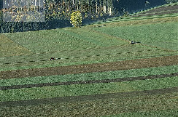 Blick vom Kornbühl auf Äcker und Felder im Herbst  schwäbische Alb  deutschland