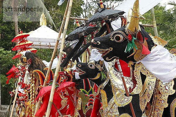 Auf dem Verbrennungsplatz sind die farbenfrohen Sarkophage bei einer Leichenverbrennung (Ngaben)  Ubud  Bali  Indonesien  Asien