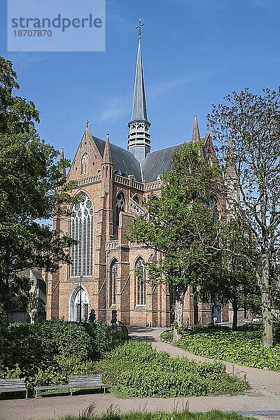 Die Sint Walburgakerk in der Altstadt von Veurne  Flandern  Belgien  Europa