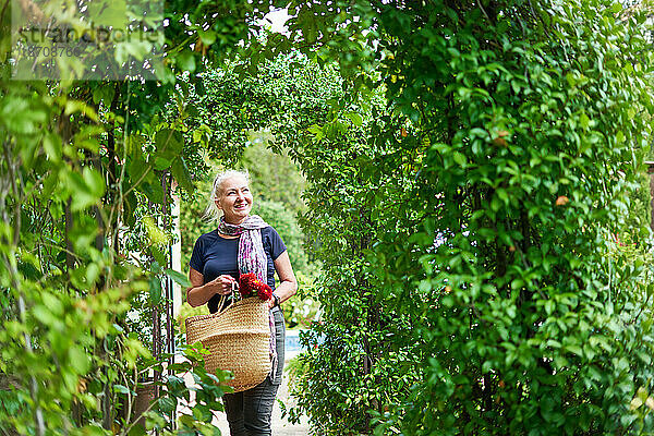 Glückliche ältere Frau  die unter einem Spalier im Sommergarten spaziert
