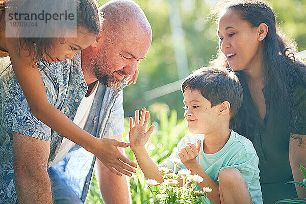 Fröhliche Familie feiert High-Five und pflanzt Blumen im Sommergarten