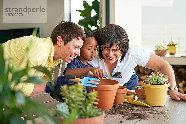 Glückliches lesbisches Paar und Sohn pflanzen Pflanzen in Blumentöpfen auf der Terrasse