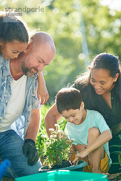 Glückliche Familie pflanzt Blumen im sonnigen Garten