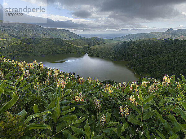 Lagoa Comprida mit gelben Ingwerlilien im Vordergrund  Insel Flores  Azoren  Portugal  Atlantik  Europa