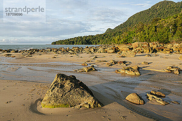 Strand  Santubong  Sarawak  Borneo  Malaysia  Südostasien  Asien