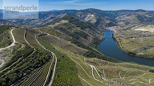 Luftaufnahme der Weinregion des Flusses Douro  UNESCO-Weltkulturerbe  Portugal  Europa