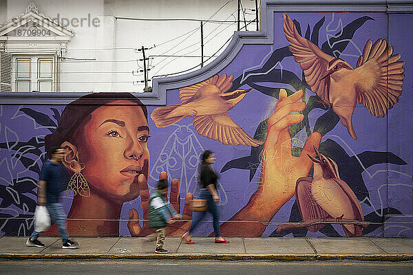 Wandbild  Lima  Peru  Südamerika