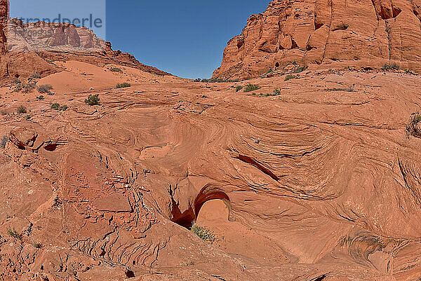 Sandsteinwellen im Ferry Swale Canyon in der Nähe von Page  Arizona  Vereinigte Staaten von Amerika  Nordamerika