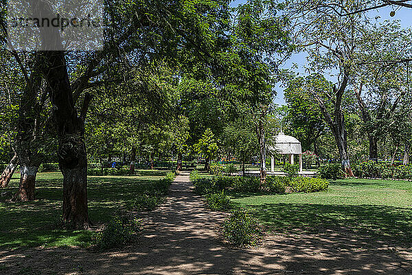 Law Garden  Ahmedabad  Gujarat  Indien  Asien
