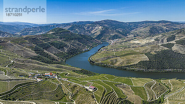 Luftaufnahme der Weinregion des Flusses Douro  UNESCO-Weltkulturerbe  Portugal  Europa