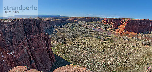 Blick auf den Cottonwood Canyon im Canyon De Chelly westlich des Tseyi Overlook  Arizona  Vereinigte Staaten von Amerika  Nordamerika