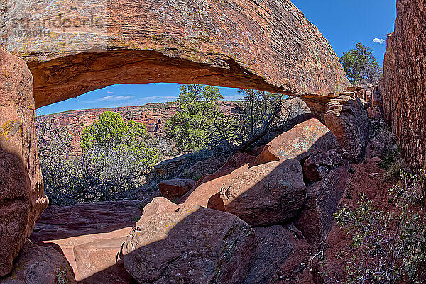 Ein versteckter natürlicher Bogen in der Nähe des Sliding House Overlook am Südrand des Canyon De Chelly  Arizona  Vereinigte Staaten von Amerika  Nordamerika