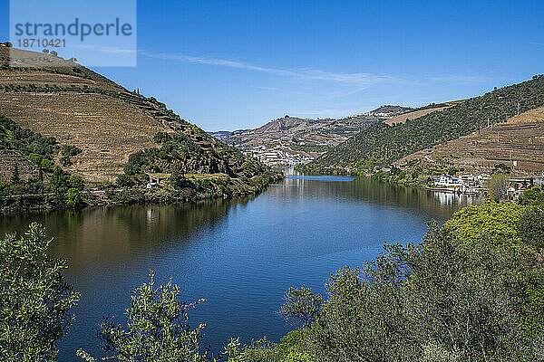 Blick über die Weinregion des Flusses Douro  UNESCO-Weltkulturerbe  Portugal  Europa