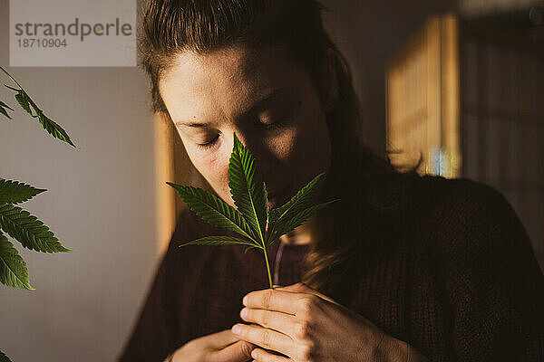 Friedliche Frau riecht zu Hause angebautes medizinisches Marihuanablatt