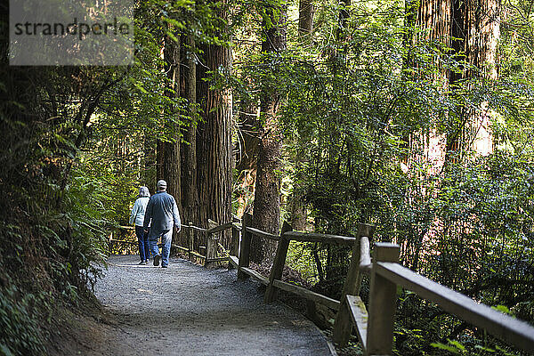 Paar mittleren Alters wandert zwischen Mammutbäumen in Kalifornien