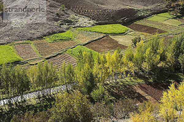 Kleine kultivierte Felder entlang eines Flusses in der Nähe von Amezri im üppigen Tessaout-Tal  M'Goun-Massiv  Zentraler Hoher Atlas  Marokko.