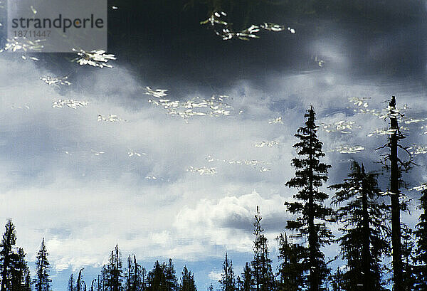 Wolken und Baumwipfel spiegeln sich im stillen Seewasser.