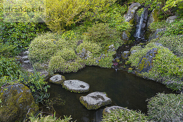 Schöner grüner Garten mit See  Felsen und Wasserfall