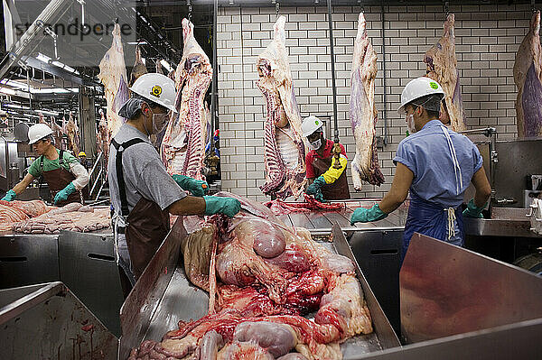 Fleischverpackung: Innereien werden getrennt und an eine Tierkörperbeseitigungsanlage geschickt  während die Rindfleischseiten auf dem Weg zur Kühlung vorbeikommen