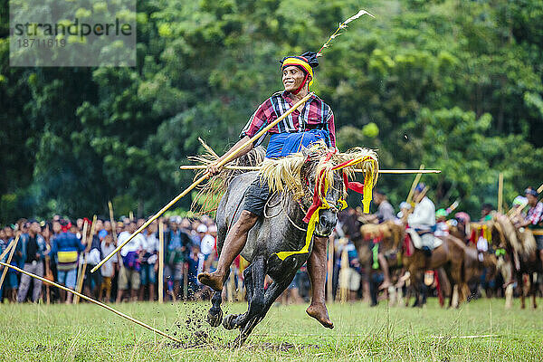 Mann  der am Pasola Festival auf der Insel Sumba  Indonesien  teilnimmt