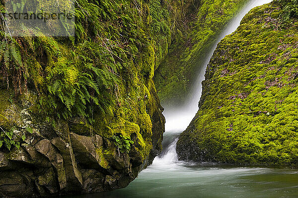 Ein kleiner Wasserfall  umgeben von moos- und farnbedecktem Basalt in der von Wasserfällen übersäten Columbia Gorge in Oregon.