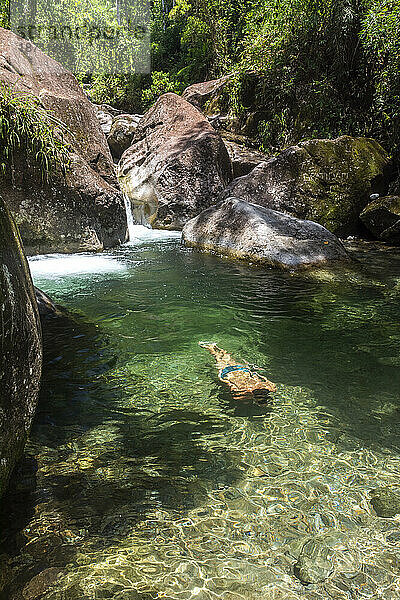 Mann genießt den wunderschönen grünen Regenwaldfluss mit kristallklarem Wasser