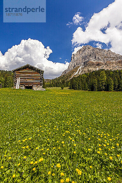 Peitlerkofel und Erbepass im Frühling  Dolomiten  Südtirol