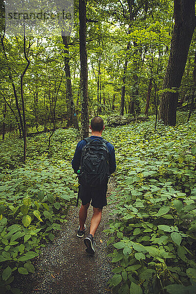 Ein junger Mann rennt in Virginia einen felsigen Pfad entlang  der von Bäumen umgeben ist.