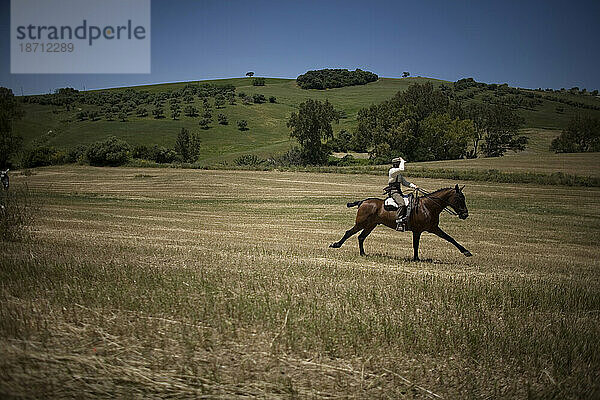 Ein Mann reitet auf seinem Pferd während einer Wallfahrt im Dorf Prado del Rey  Provinz Cádiz  Andalusien  Spanien  16. Mai 2010.